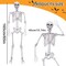 2Pack 5.4Ft Life Size Skeletons Posable Skeletons Full Size Plastic Human Skeleton with Movable Joint for Halloween Outdoor Indoor Decorations
